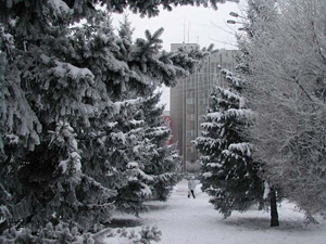 индивидуальная программа похудения
