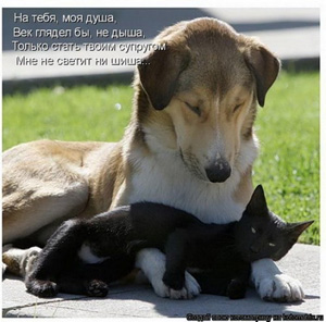 диетолог в москве