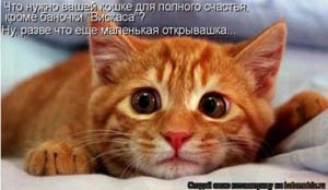 похудание для мужчин