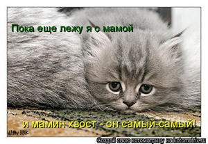 поиск диеты